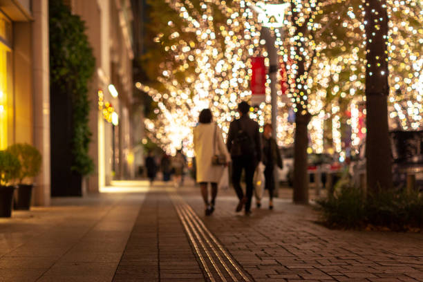 tips for traveling to japan alone