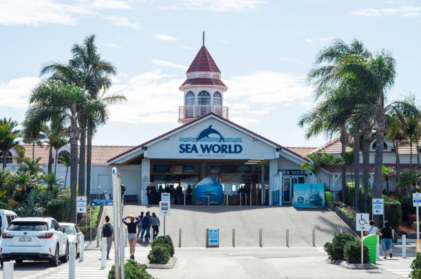 sea world marine park au
