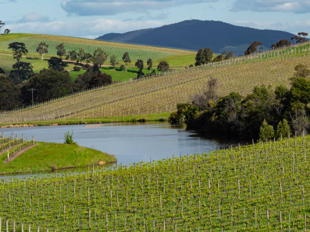 yarra valley australia