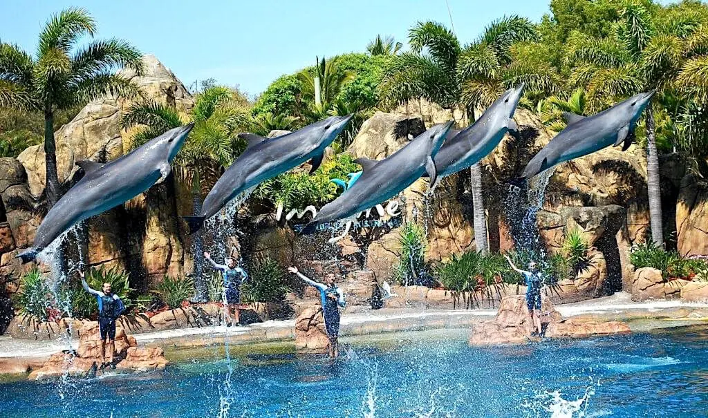 sea world park